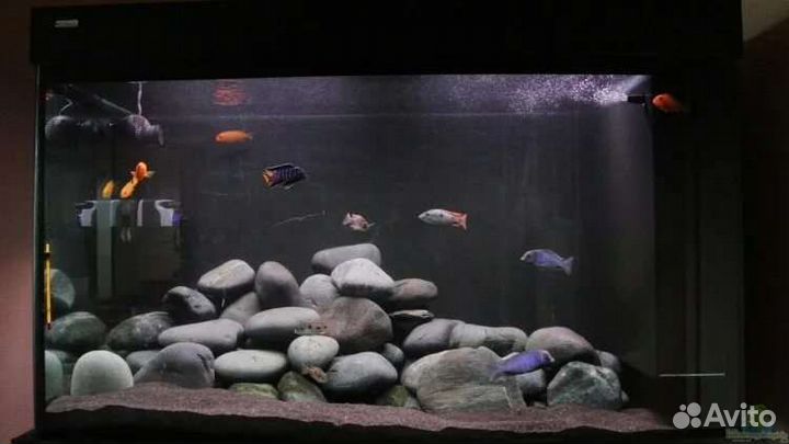 Камни для аквариума