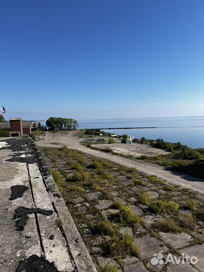 Балтийская и Куршская коса за один день