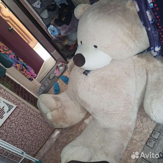 Большие плюшевые медведи