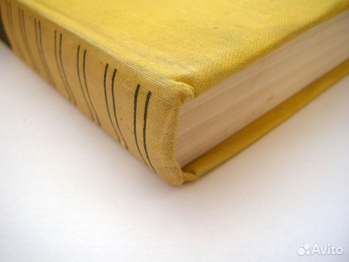 Рытов Михаил Васильевич. Русские яблоки