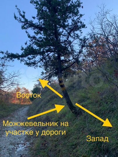 Участок 6 сот. (СНТ, ДНП)