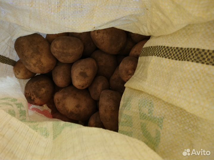 Продам картофель с доставкой