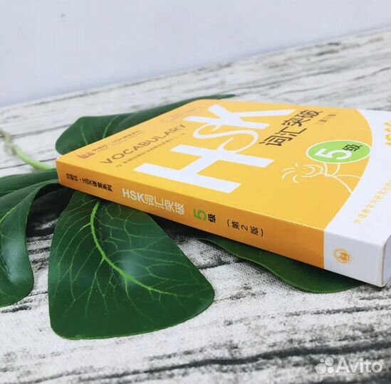 Словарь HSK 5 по китайскому языку