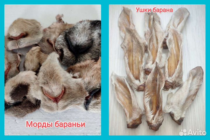 Сушёные лакомства