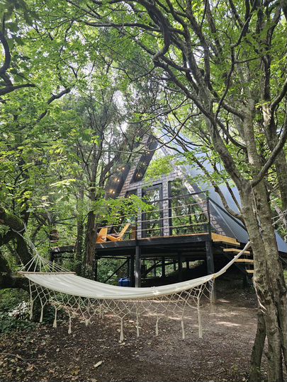 Дом 50 м² на участке 2 га