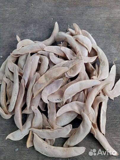 Лимская фасоль