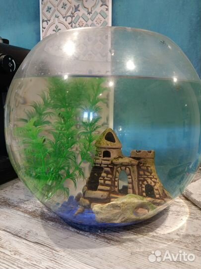 Аквариум