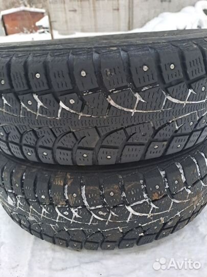 Contyre Arctic Ice 175/70 R13