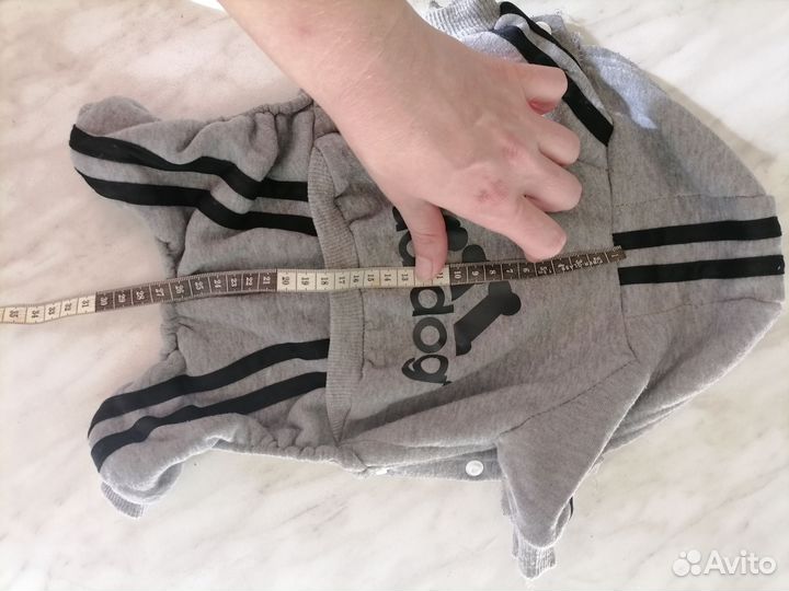 Одежда для маленьких собак s