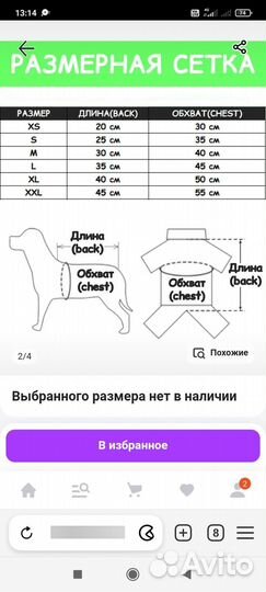 Набор для собачки. Дождевик, шлейка, ошейник