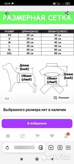 Набор для собачки. Дождевик, шлейка, ошейник