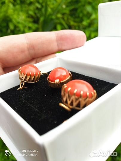 Кораллы в позолоте