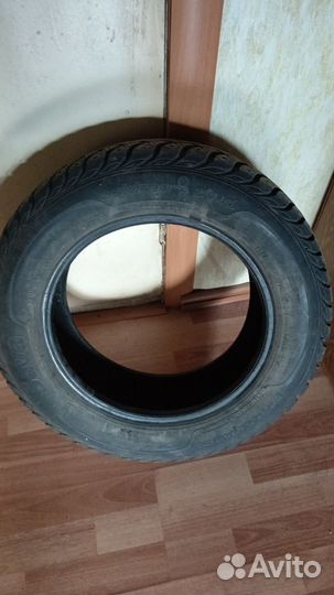 Sava Eskimo Stud 175/65 R14