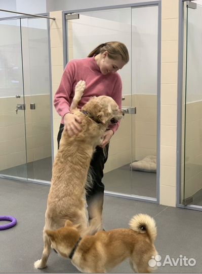 Передержка кроликов, грызунов, птиц