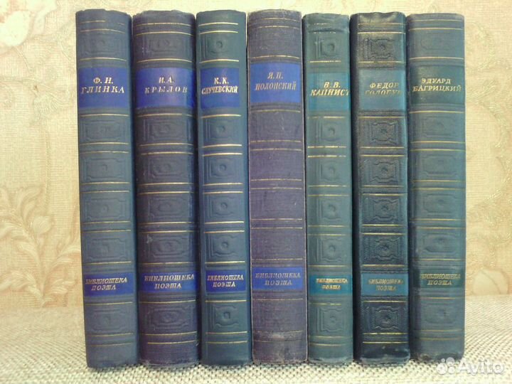 Библиотека поэта