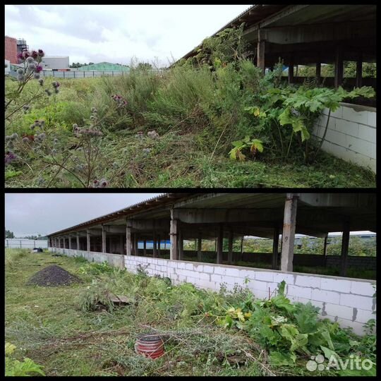 Покос травы триммером