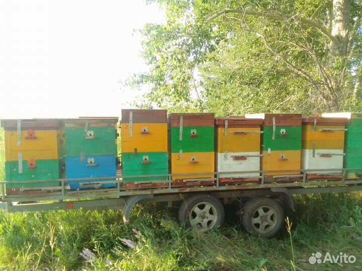 Ульи для пчел