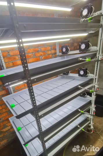 Стеллажная ферма