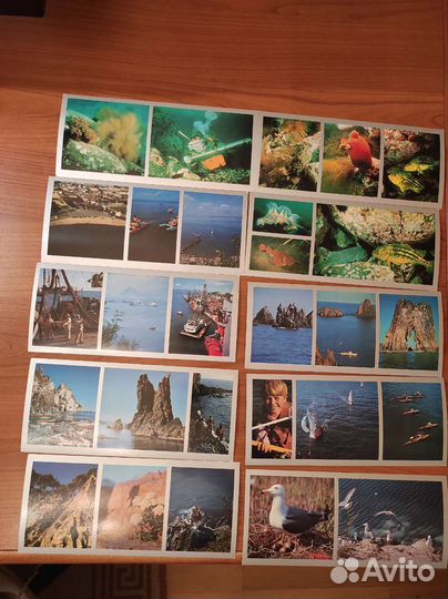 Залив Петра Великого. 1980. Набор открыток