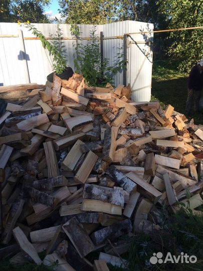 Дрова береза