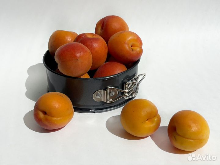 Форма для выпечки со съемным дном 12х4 см