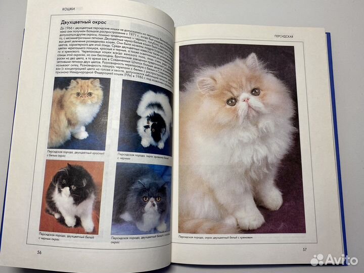Справочник кошки