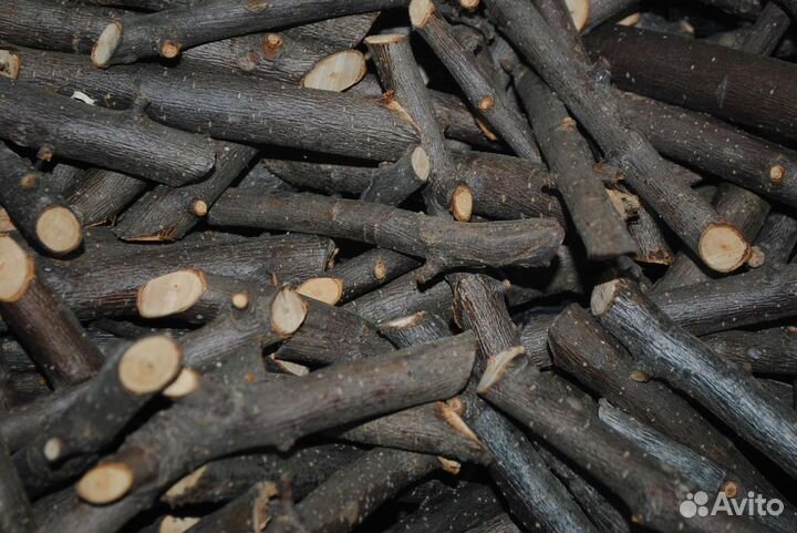 Палочки для грызунов и многое другое