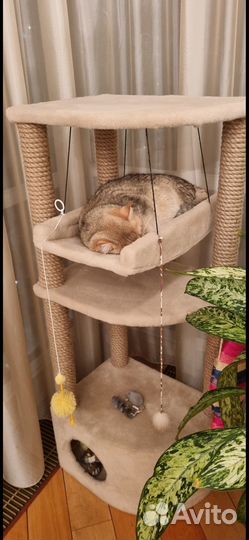 Домик когтеточка