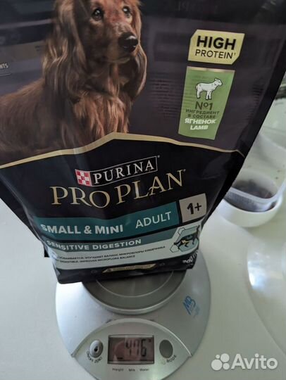 Корм для собак