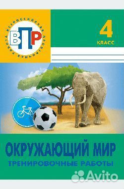 ВПР 4 класс тренировочные работы