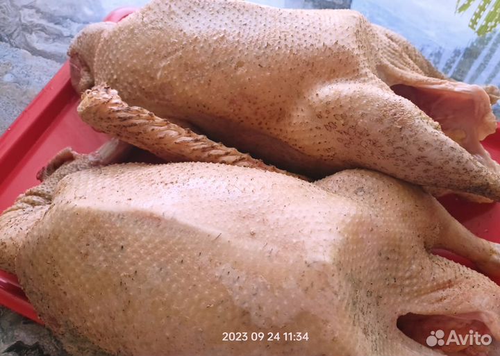 Продам мясо кур домашних