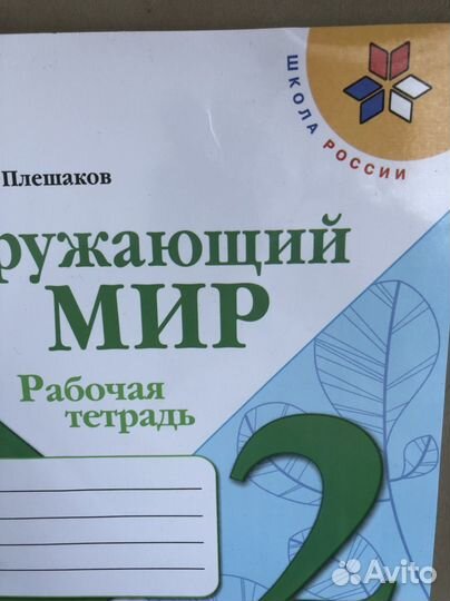 Рабочая тетрадь 2 класс окружающий мир Плешаков