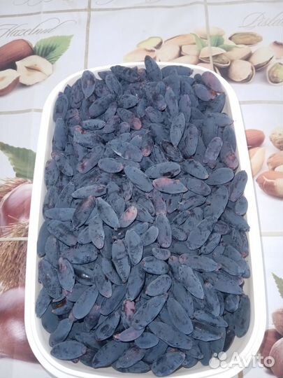 Жимолость ягода