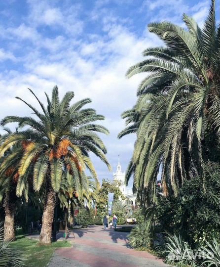 Экскурсия Абхaзия,Краcная поляна,Сочи