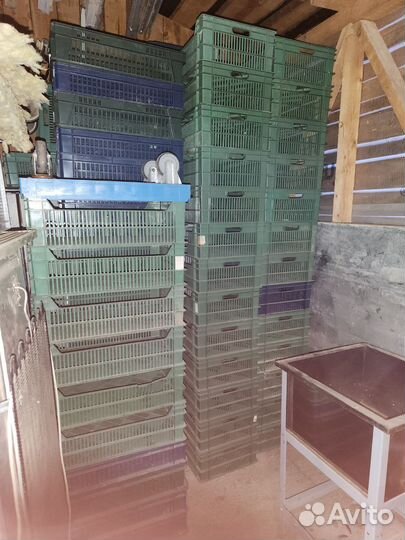 Ящик пластиковый пищевой перфорир. 600-400-190мм