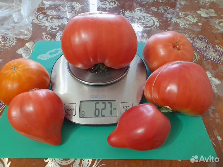 Семена и Рассада Коллекционных помидоров томатов