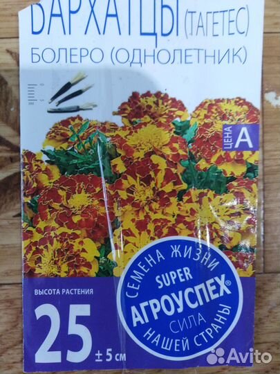 Рассада цветов