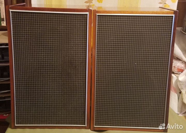 Акустика 10мас 1м