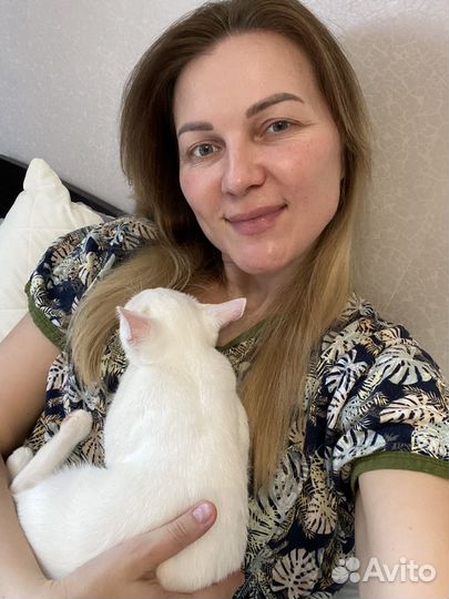 Передержка для животных