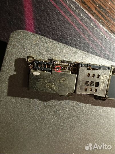 Цифровой микроскоп