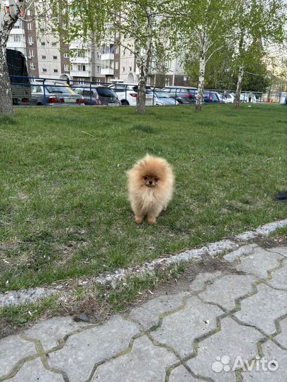 Малюсенький мальчик