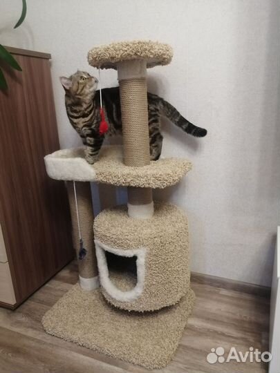 Домик для кошки с когтеточкой