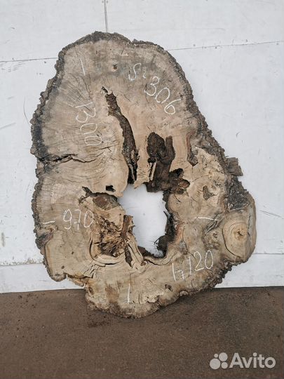 Спилы слэбы из дуба карагача тополя бука