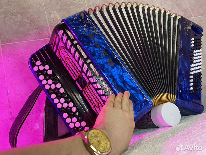 Баян Тула бн 41 Компактный Лёгкий 1днв Аналог