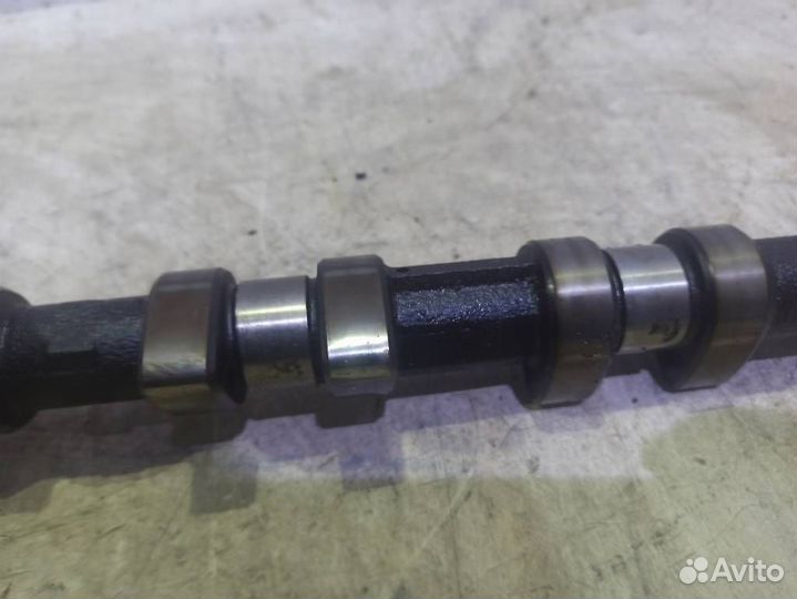 Распредвал выпускной 11311736119