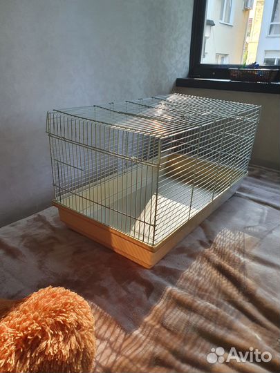 Товары для крыс, хомяков