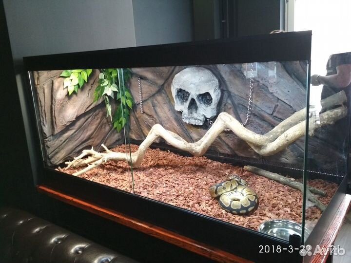 Террариумы, акватеррариумы