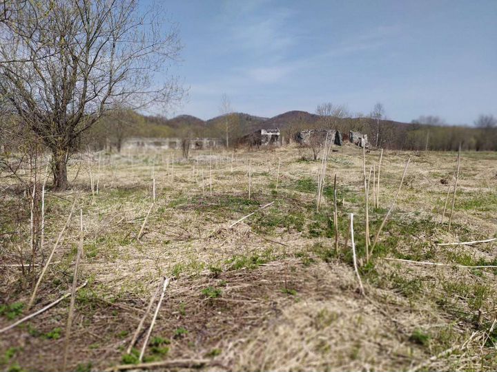 Участок 20 сот. (ИЖС)