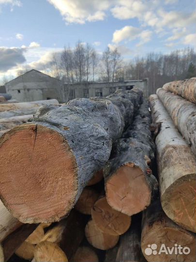 Срубы домов и бань из сосны Кело