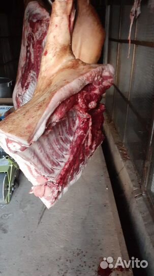 Свинина молодая деревенская